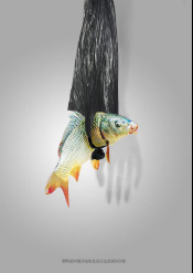 1574322814319051808.png image.png